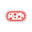 infection